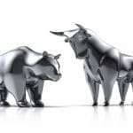 תיק השקעות מנוהל – הכלכלה בין שוורים לדובים