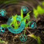 נפט, זהב, או אורז? הכללים להשקעה בסחורות 2021