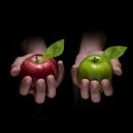 בדיקה והשוואה – קרן סל או קרן נאמנות?