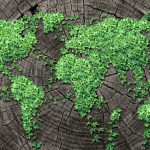 הכלכלה הירוקה היא פתרון צמיחה גלובלי