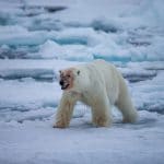 בוקר כלכלי: ירידות חדות בשווקי המניות מסביב לעולם