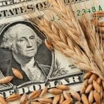 שוק הסחורות מתפוצץ: התחזית לעליה של 40%