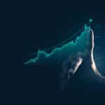 זרקור על מנית – הפניקס