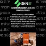 https://skn.co.il/מדוע-מניית-etsy-צנחה-למרות-צמיחת-ההכנסות-ב/