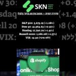 https://skn.co.il/סקירה-יומית-20-03-2025-בוקר-כלכלי/