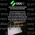 בלאקרוק תנפיק מניות דיגיטליות לקרן כספית בשווי 150 מיליארד דולר