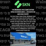 איך Walmart מצליחה לשבור שיאי פרודוקטיביות – והאם המתחרות יכולות להדביק את הקצב?