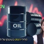 ״אני עוקב!״ — טראמפ דורש להשאיר את מחירי הנפט נמוכים לאחר תקיפות אמריקאיות באיראן