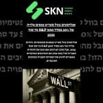 אנליסטים בוול סטריט צופים עלייה של 10% במדד S&P 500 עד סוף 2025