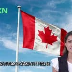 האם האינפלציה חוזרת לקנדה? סקירה מקיפה של מדד המחירים לצרכן לחודש מאי 2025