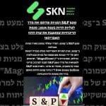 המניות שדחפו את מדד S&P 500 לעליות חדות בשנת 2025: מגמת הריכוזיות שמעצבת את שוק ההון האמריקאי