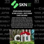 סיטיגרופ (C): בנקאות גלובלית בצומת דרכים – ביצועים, אתגרים ואסטרטגיה לעתיד