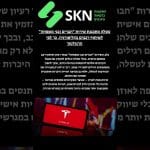 טסלה מתכננת שירות “חברים ובני משפחה” לשיתוף רכבים בקליפורניה, כך לפי הרגולטור