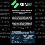שווי שוק שובר שיאים: מי הן חברות התעופה המובילות בעולם ב-2025 ומה מסביר את הדומיננטיות?