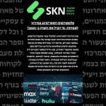 פלטפורמות הסטרימינג במירוץ לצמיחה: מי יוביל את השוק ב-2025?