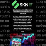 צמיחה ויראלית ומציאות מאתגרת האם Roblox מפצחת את הנוסחה להצלחה ארוכת טווח?